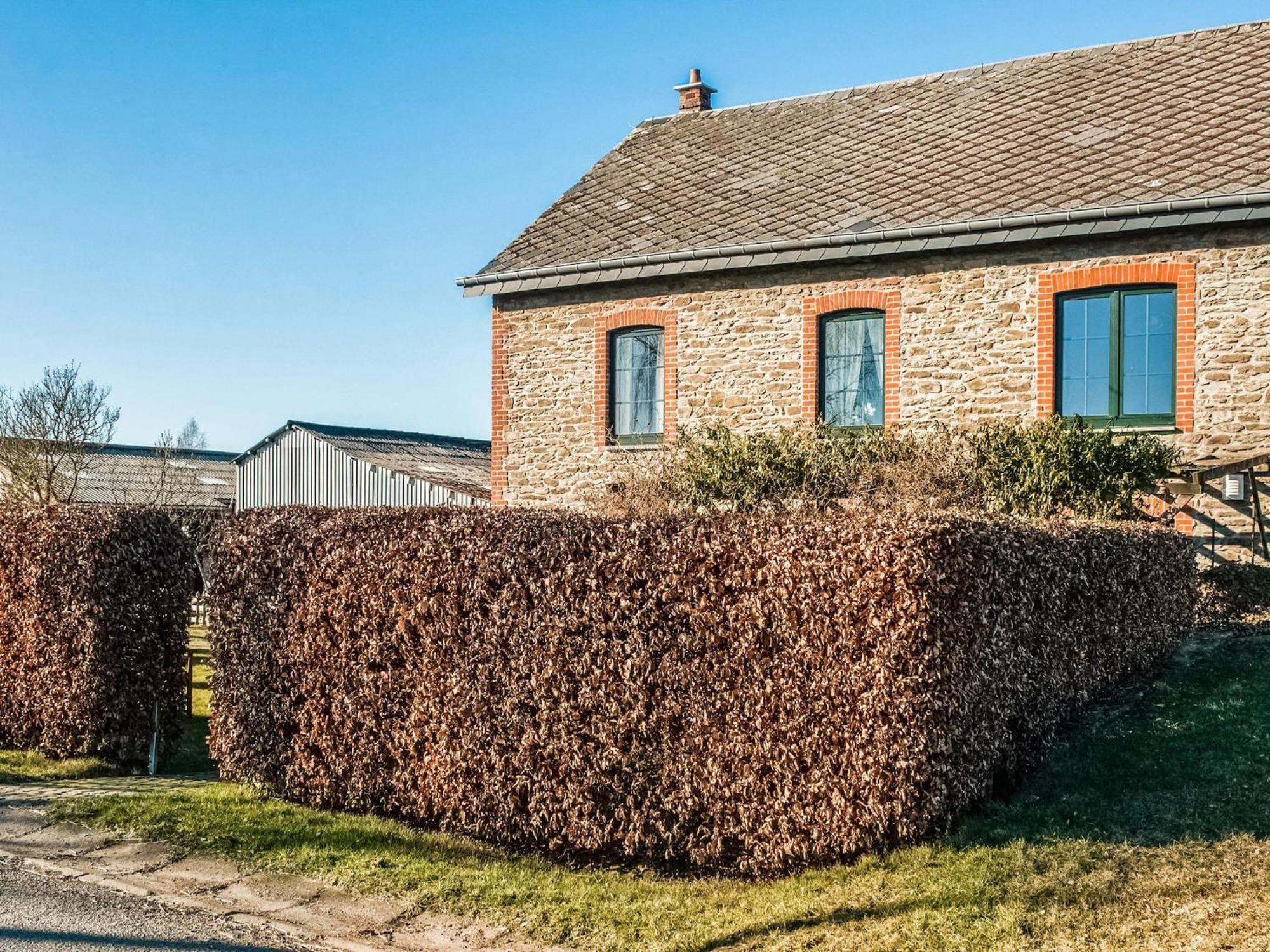 Pretty Farmhouse In Houffalize With Courtyard Bagian luar foto